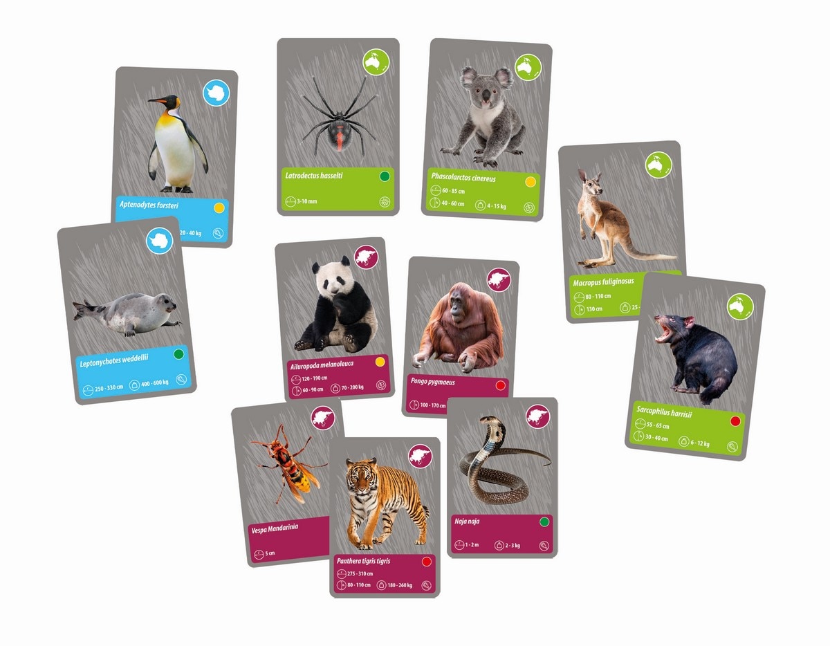 Animais do Planeta Terra 9