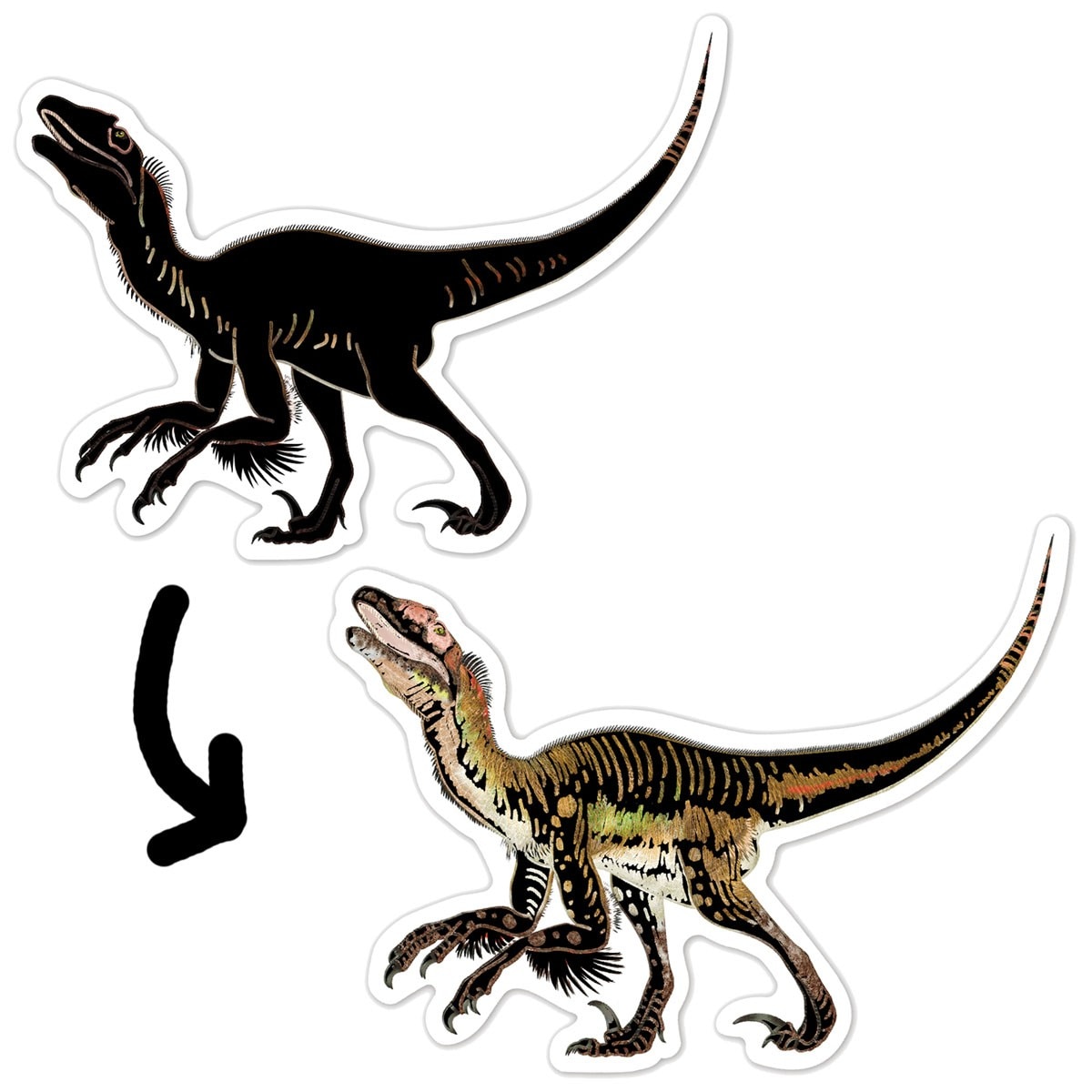 Autocolantes para Raspar Natural Creation Dinossauros - 4 Peças 6