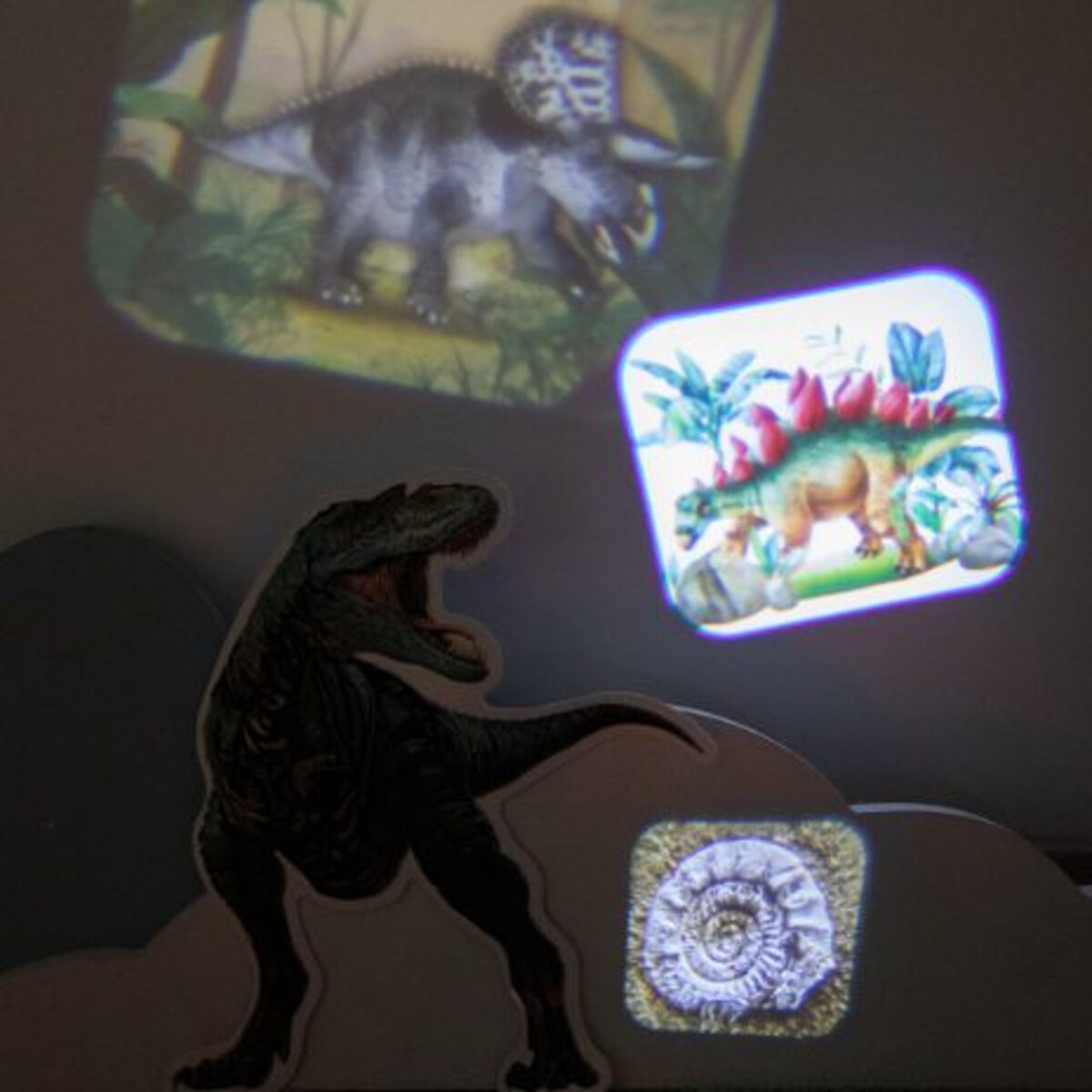 Projetor de Luz - Dinossauros 5