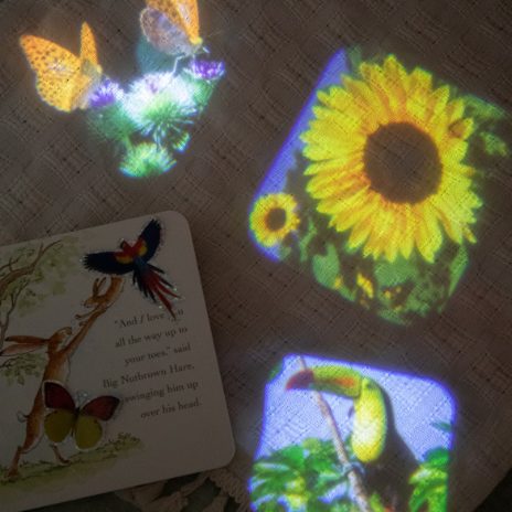Projetor de Luz - No Jardim 5