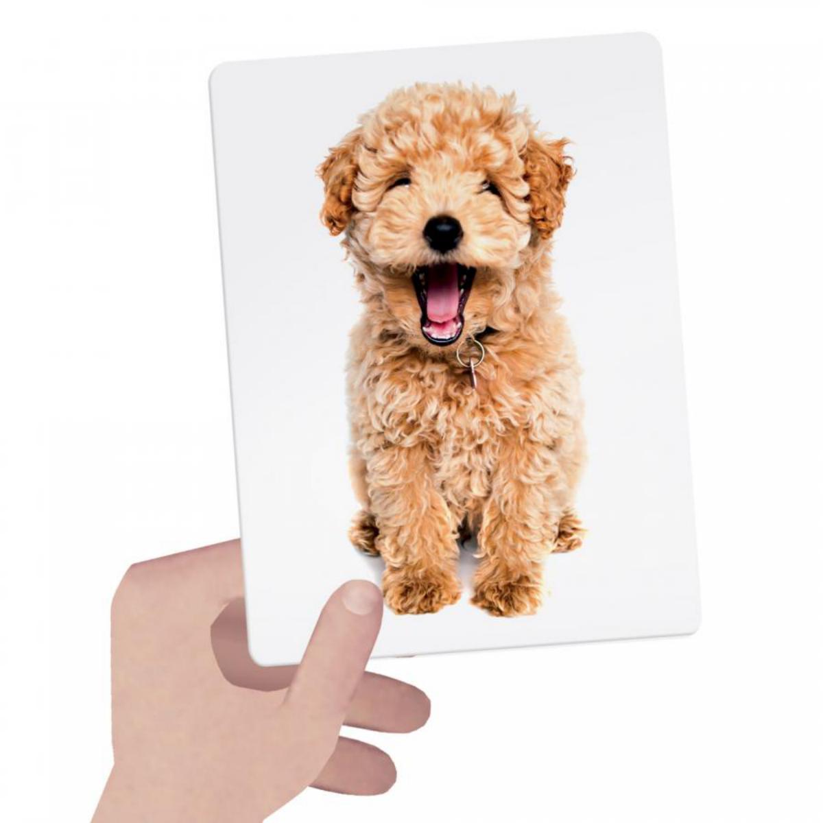 Flashcards Tactile Montessori Sigtoys 3