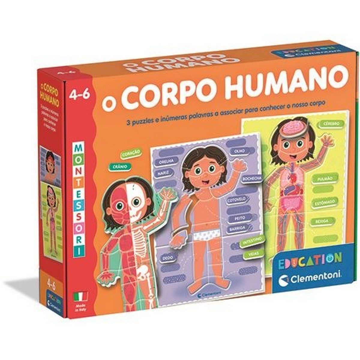 Imagem 0 de O Corpo Humano Montessori