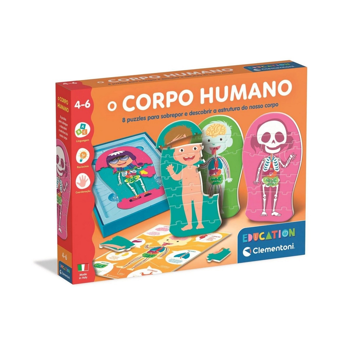 Imagem 0 de Jogo O Corpo Humano