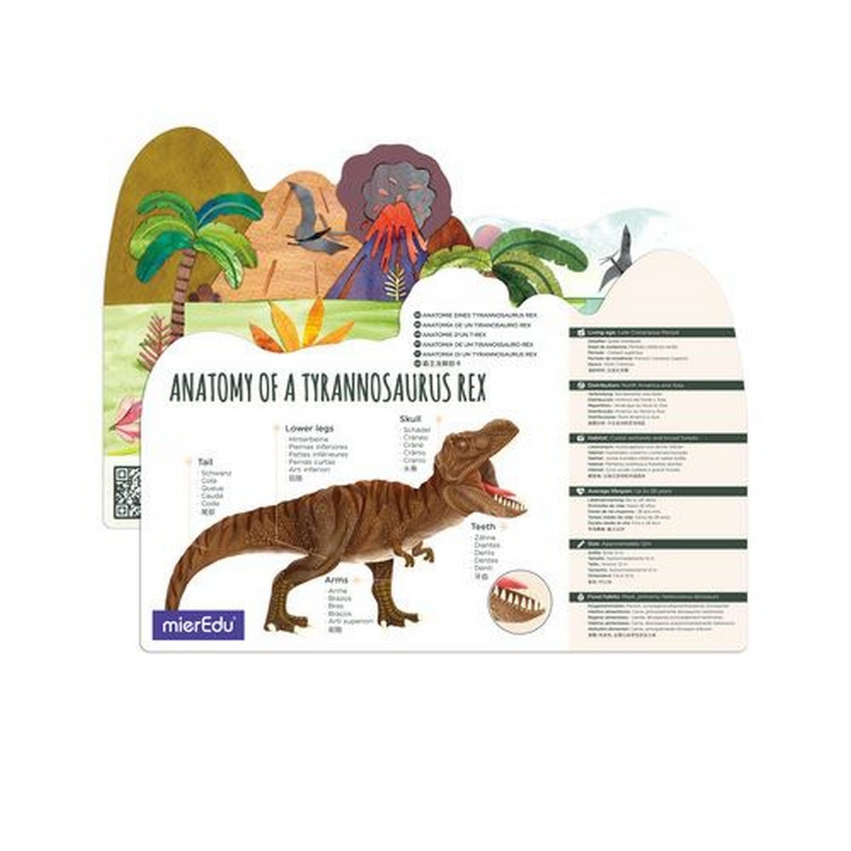 Puzzle Eco 3D MierEdu T-Rex 171 Peças 6