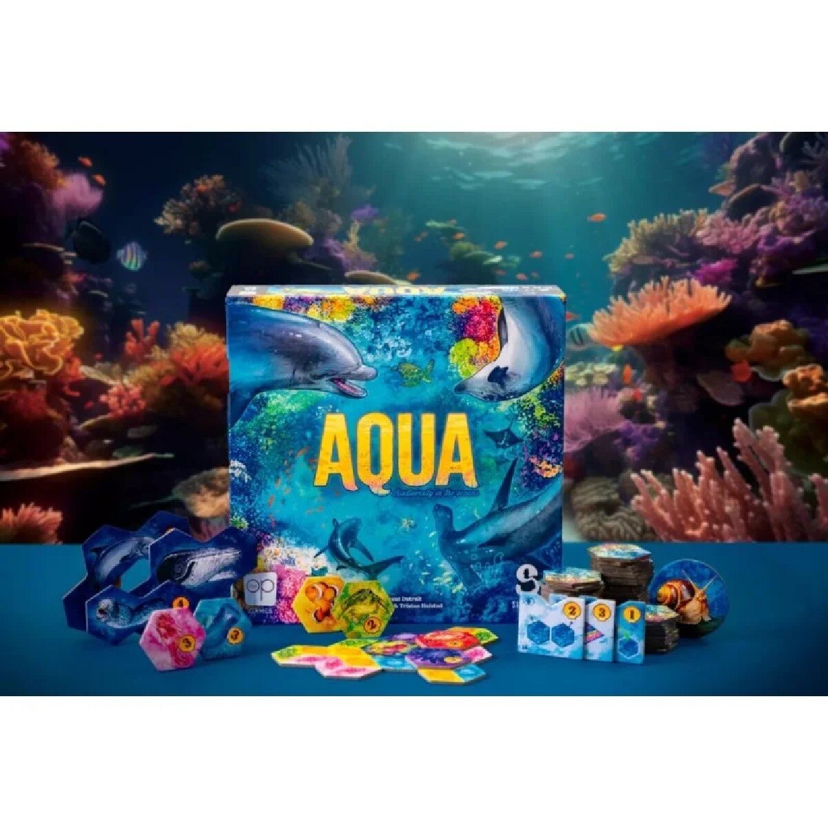 Jogo de Tabuleiro Aqua 2