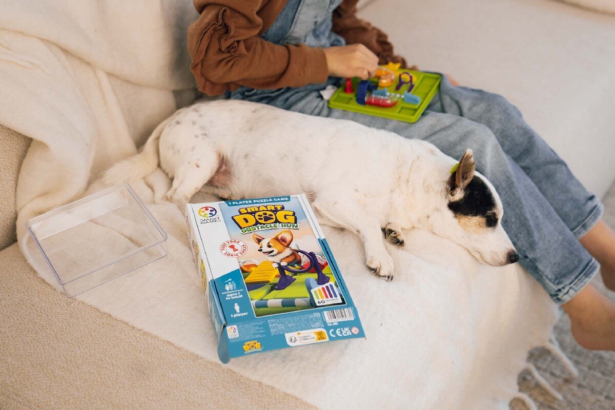 Jogo Smart Dog 4