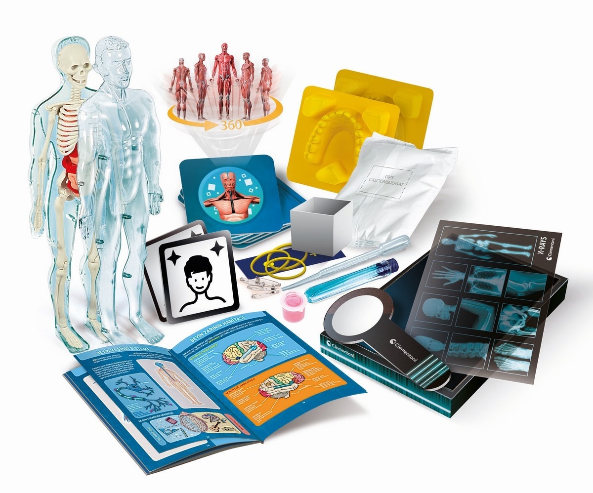 Super Anatomia 3