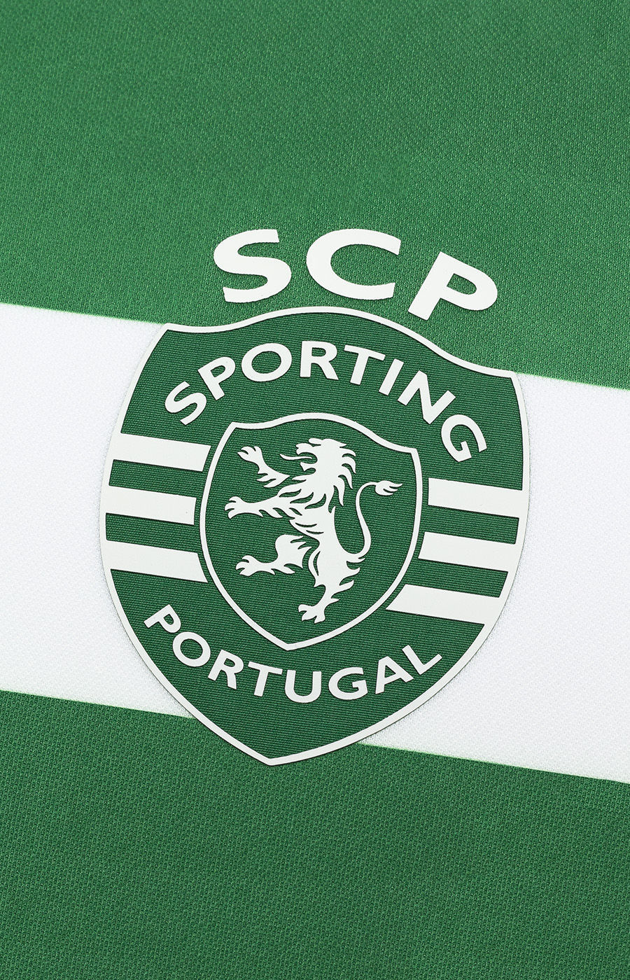 T-shirt Principal Sporting C. P. de Homem C/Pub 25/26 3