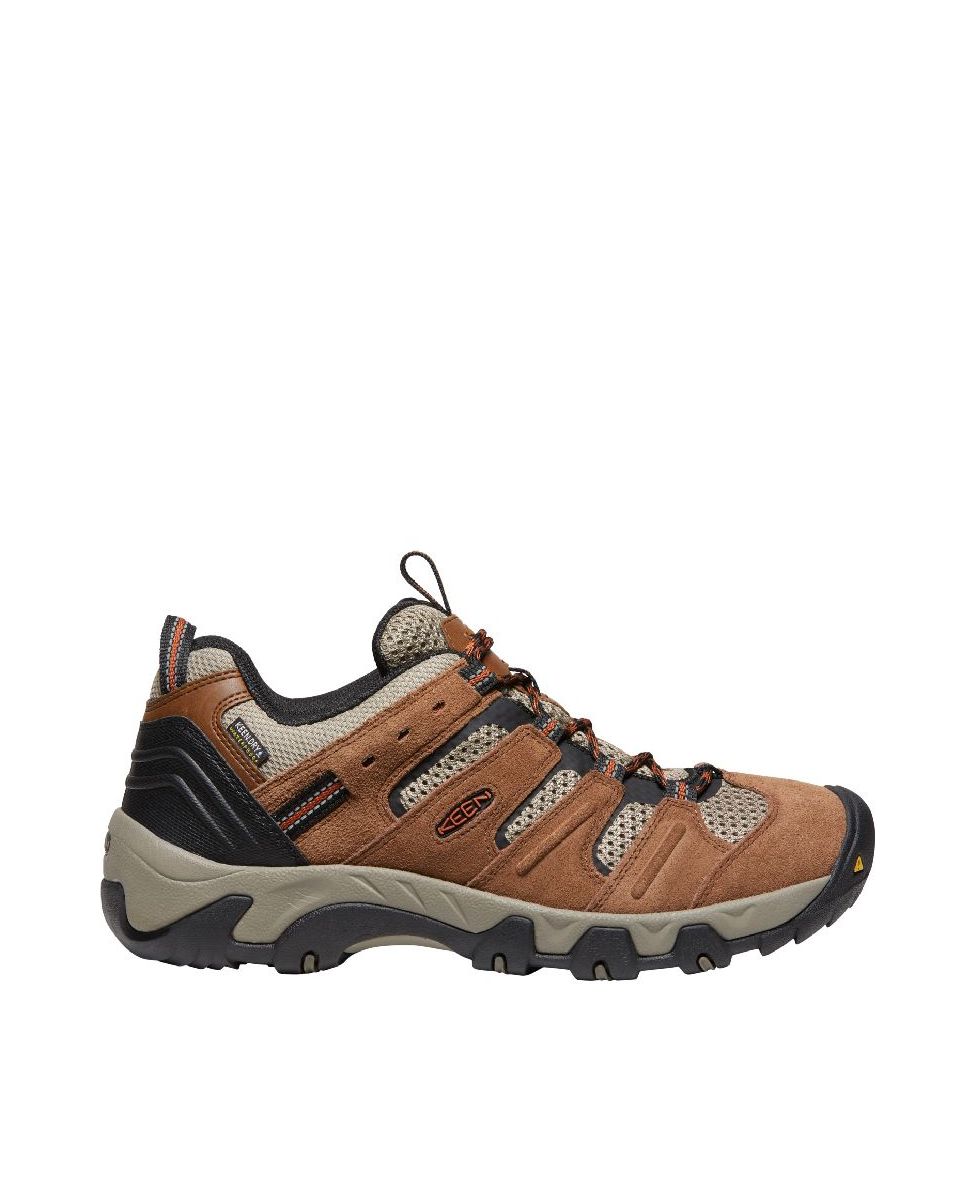 Imagem 0 de Botas de Montanha Headout Wp Keen
