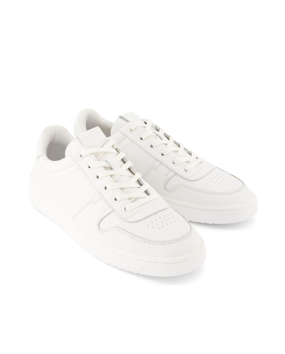 Sapatilhas Trvl Lite Court Toms em Pele Branca Branco-2