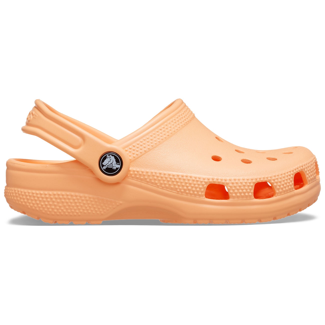 Imagem 0 de Socas Infantil Classic Clog Crocs