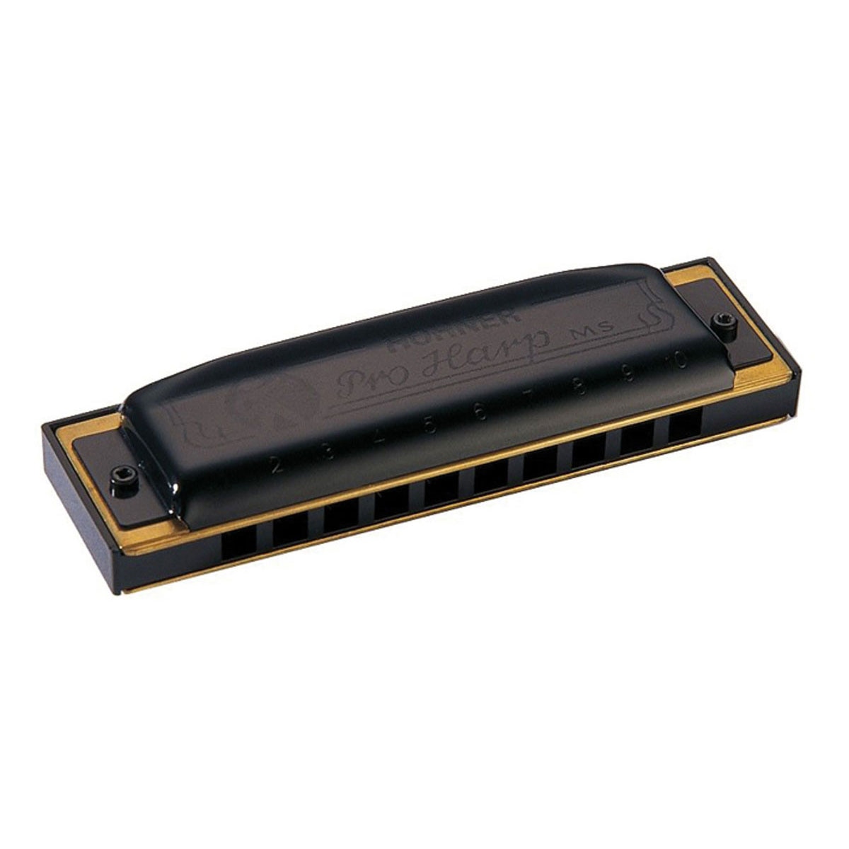 Harmónica Diatónica Hohner PRO HARP B Metálico-1