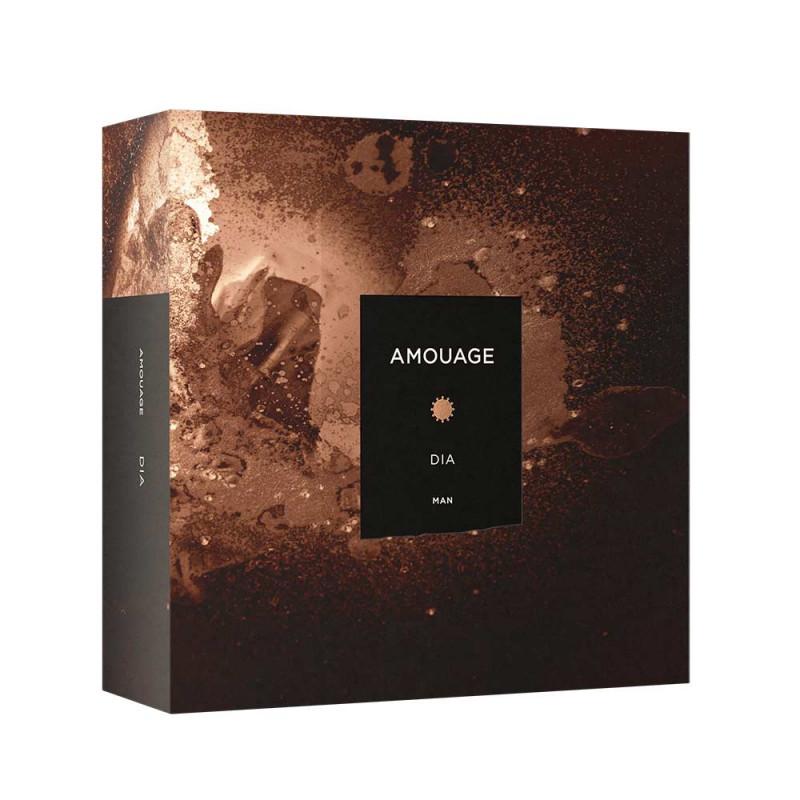 Eau de Parfum Dia Man Edp 100ml Amouage [isolee] 3