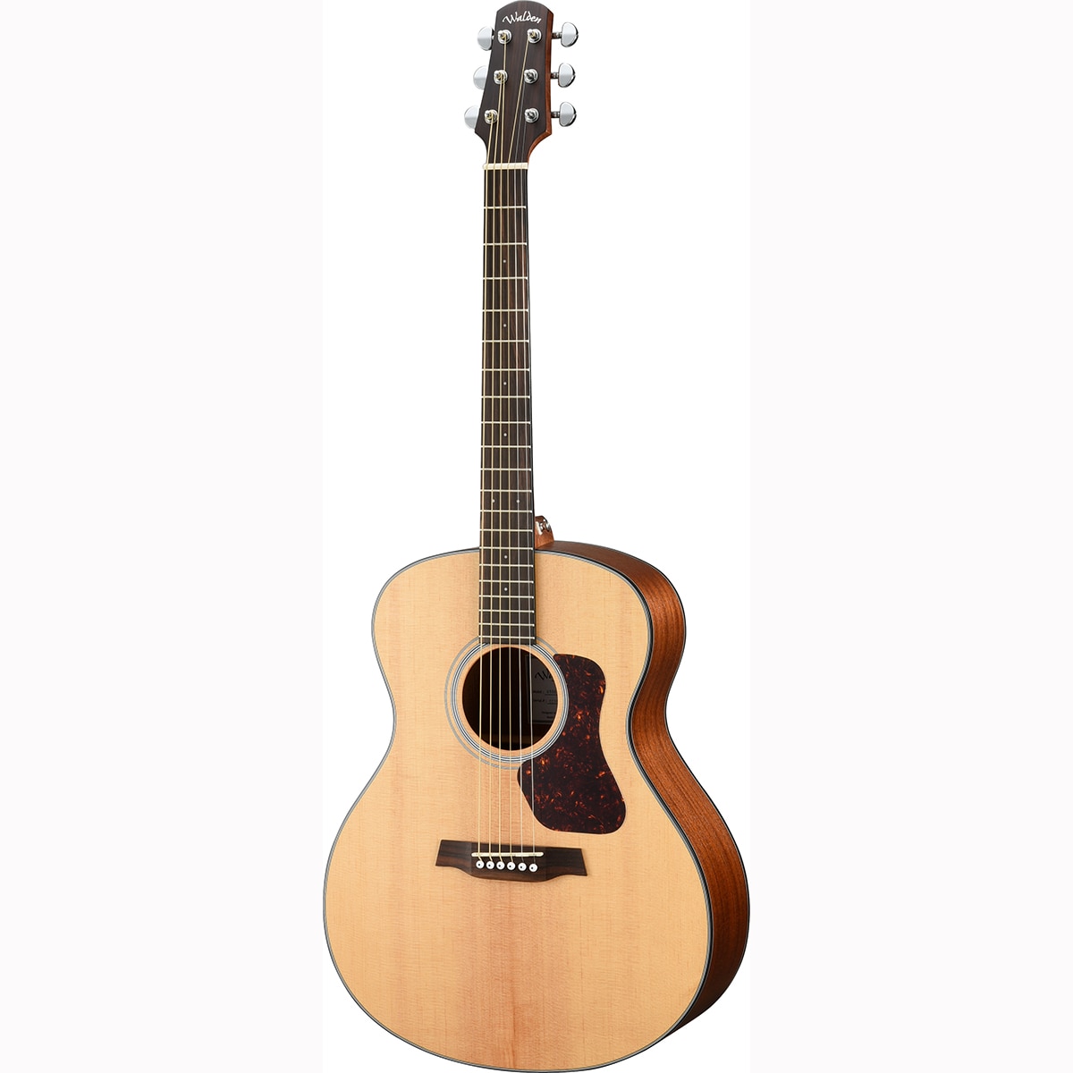 Imagem 0 de Guitarra electroacústica Walden WAG550EW Natura 500