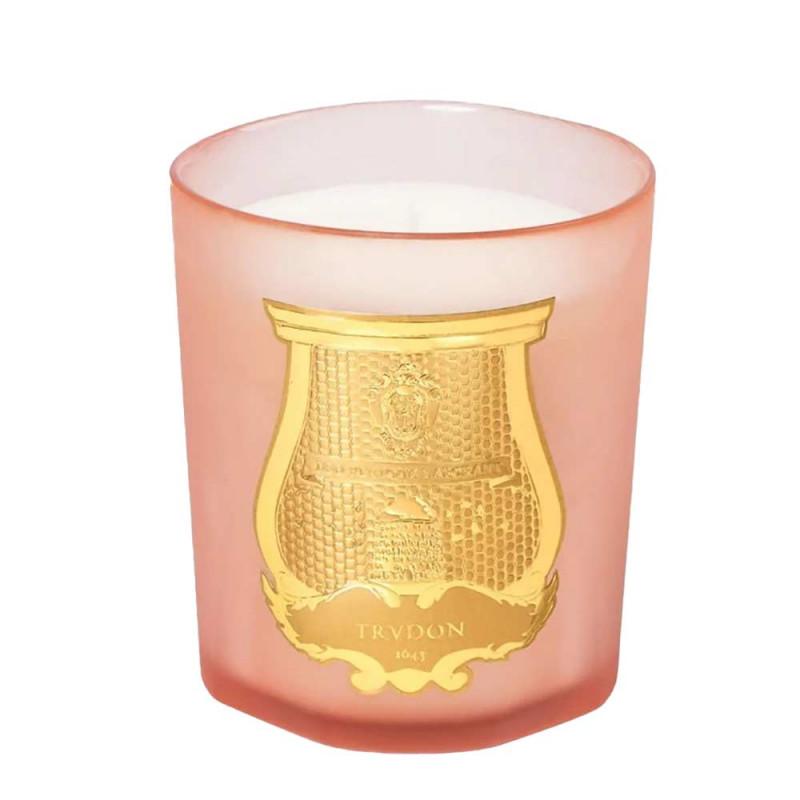 Imagem 0 de Velas Aromáticas Tuileries Scented Candle 270g Trudon (isolée)
