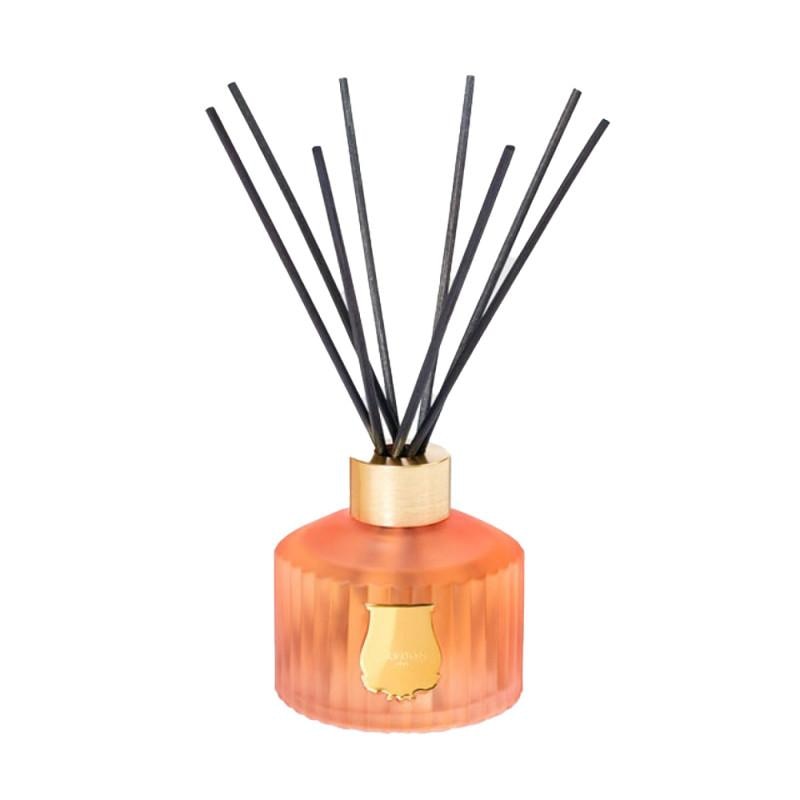 Imagem 0 de Barritas Aromáticas Tuileries Diffuser 350ml Trudon (isolée)