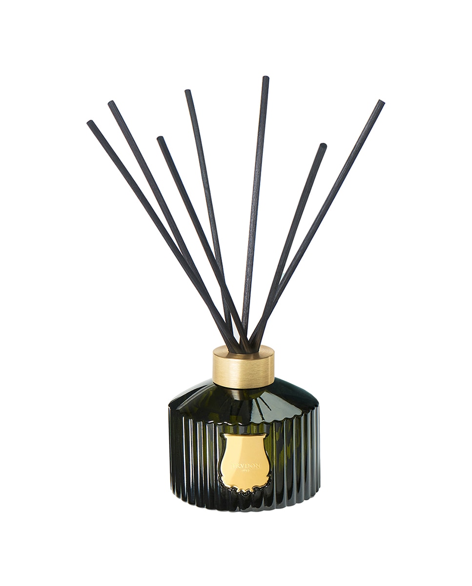 Imagem 0 de Barritas Aromáticas The Great Diffuser Ernesto Trudon (isolée)