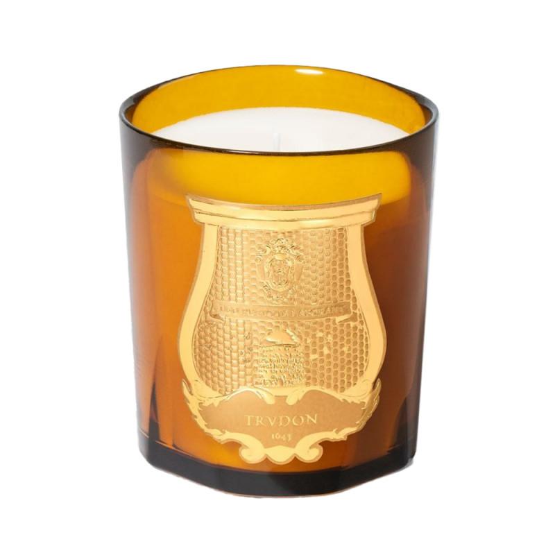 Imagem 0 de Velas Aromáticas Altair Scented Candle 270 G Cire Trudon (isolée)