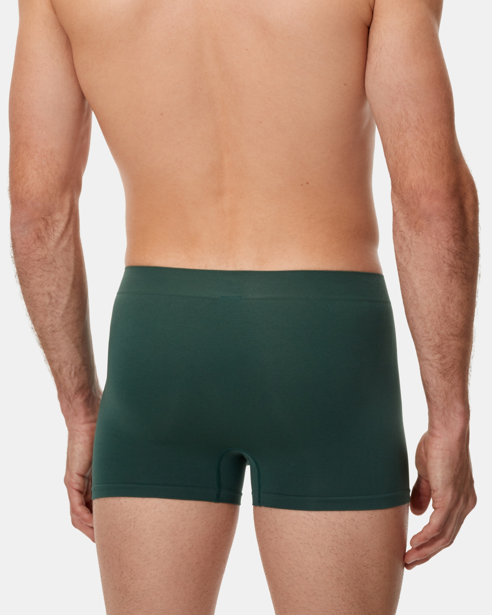 Pack de Dois Boxers de Microfibra sem Costuras Dim Seamless Micro Verde-3