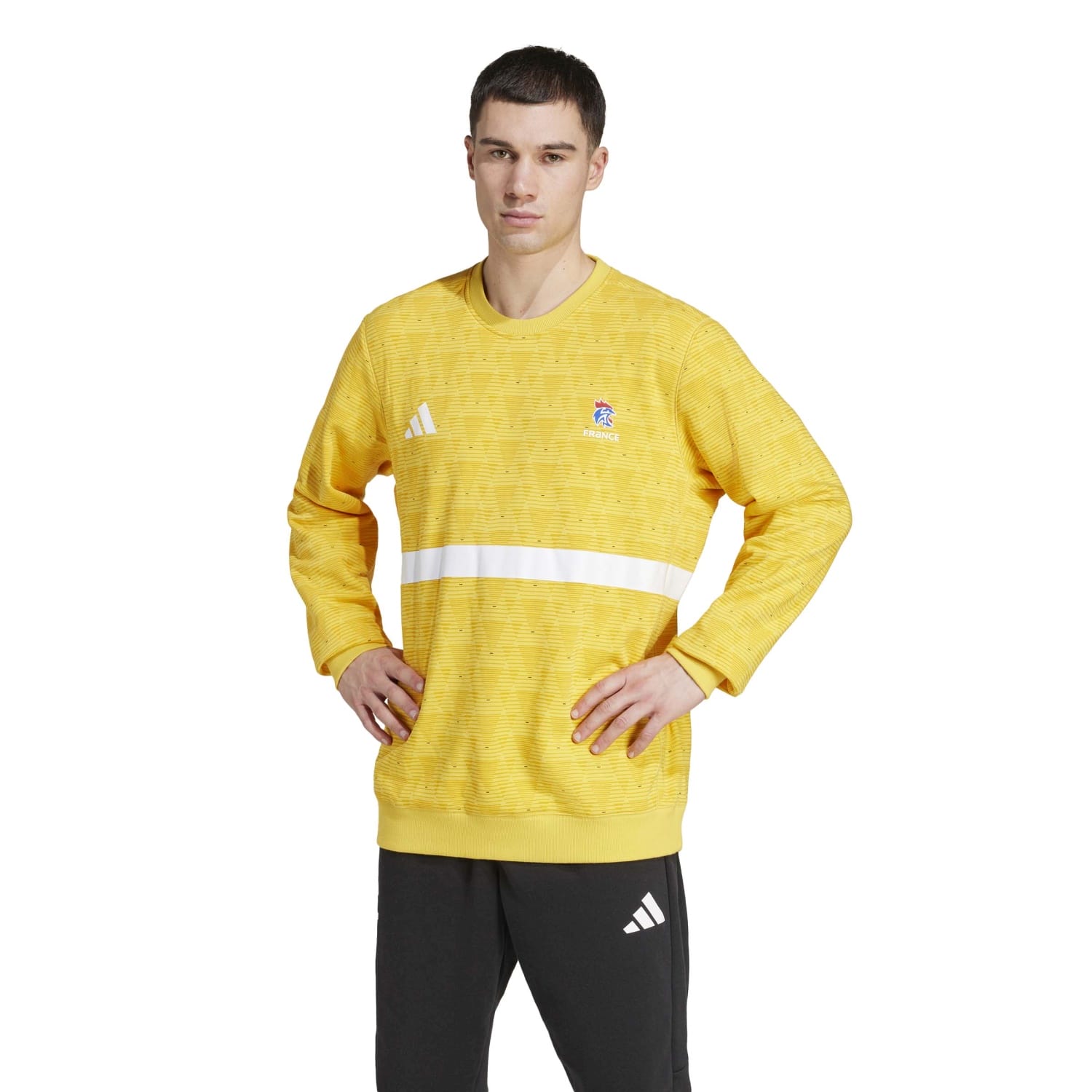 Sweatshirt de Andebol Ffhb Gk Adidas Amarelo-3