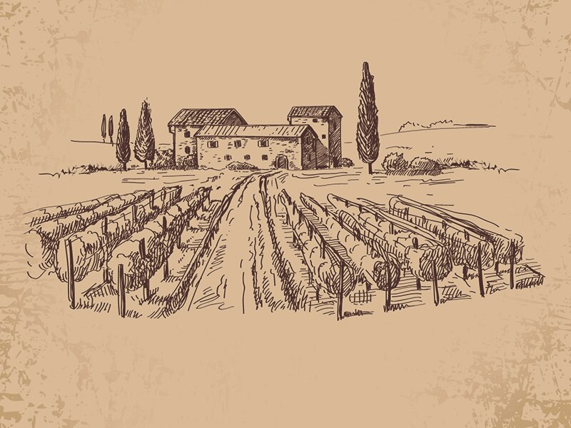 Odisseias Pack Presente - Estadia e Descoberta do Vinho | Experiência 1 noite | Peq. almoço e prova de vinhos | 2 pessoas 4