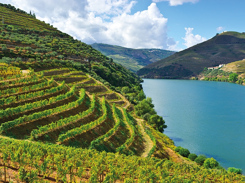 Odisseias Pack Presente - Estadia e Descoberta do Vinho | Experiência 1 noite | Peq. almoço e prova de vinhos | 2 pessoas 5