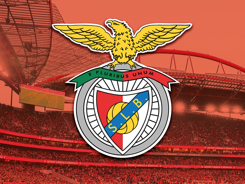 Pack Presente Odisseias - Sport Lisboa e Benfica | Bilhetes para o Estádio + Cachecóis 3