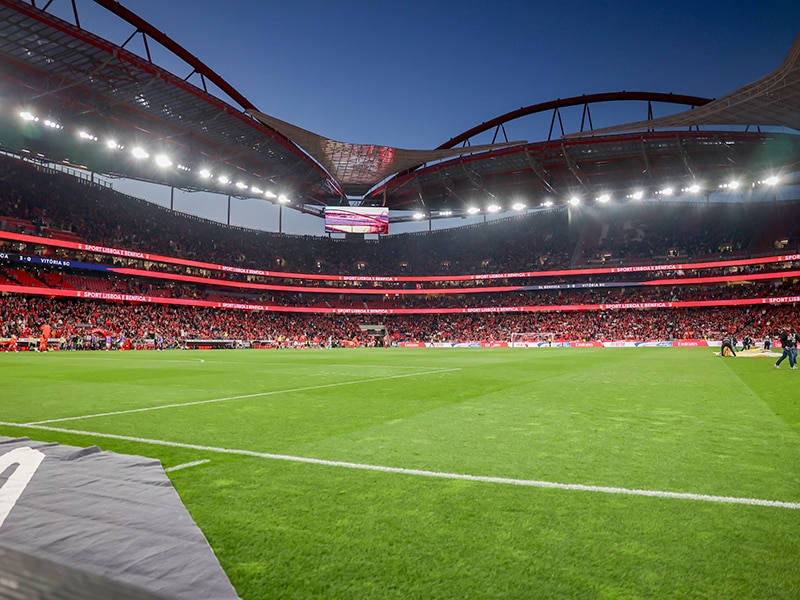 Pack Presente Odisseias - Sport Lisboa e Benfica | Bilhetes para o Estádio + Cachecóis 4