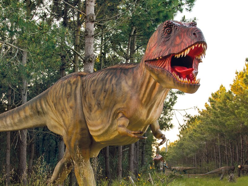 Odisseias Pack Presente - Dino Parque da Lourinhã | 2 Bilhetes para 1 adulto e 1 criança 4