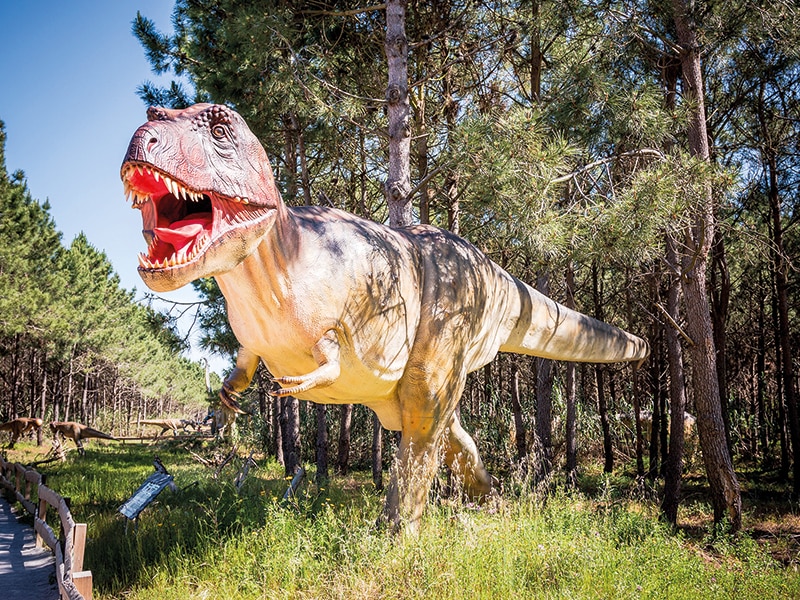 Odisseias Pack Presente - Dino Parque da Lourinhã | 2 Bilhetes para 1 adulto e 1 criança 5