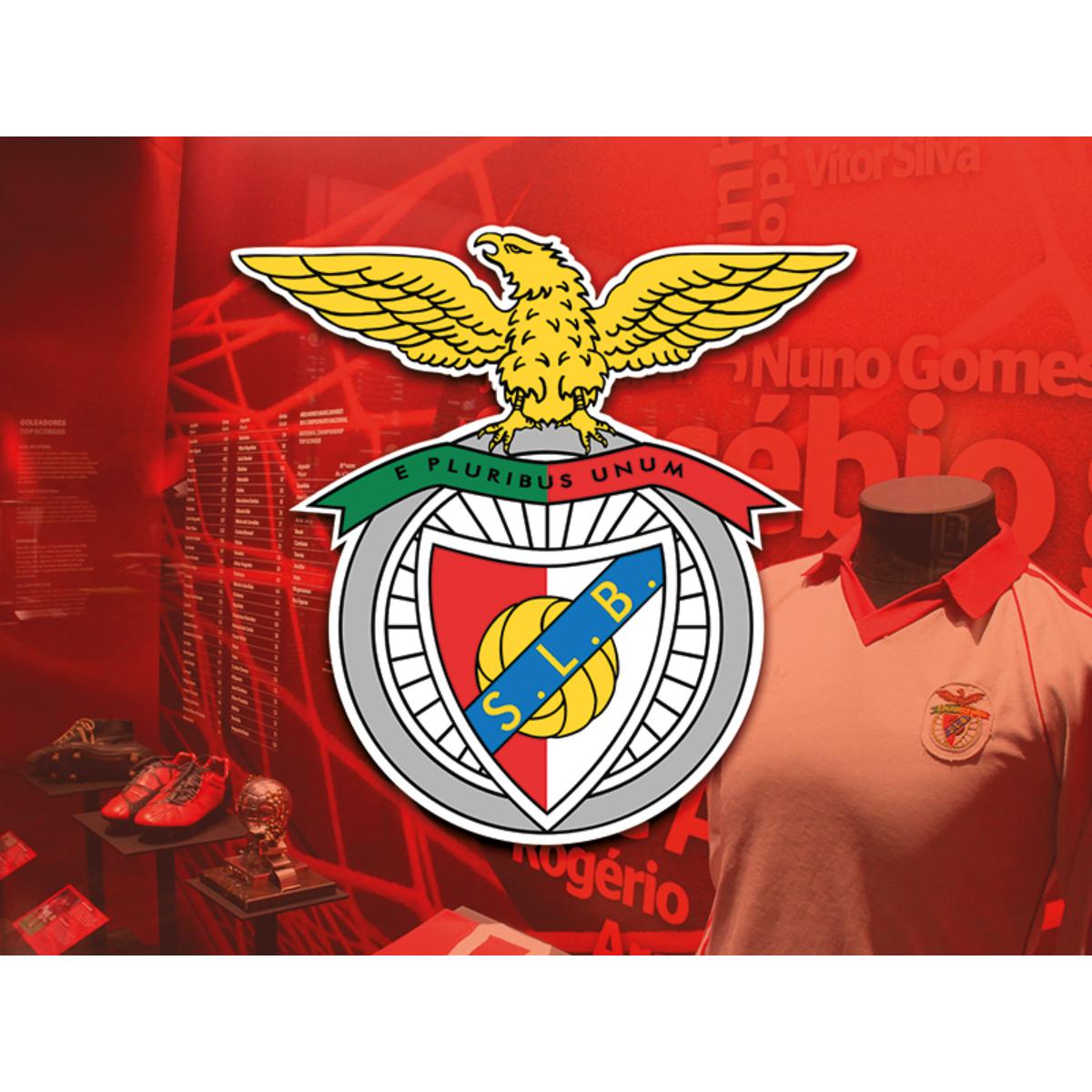 Pack Presente Odisseias - Sport Lisboa e Benfica | Tour ao Estádio & Museu + Cachecóis 3
