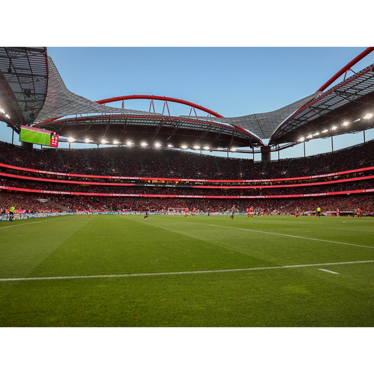 Pack Presente Odisseias - Sport Lisboa e Benfica | Tour ao Estádio & Museu + Cachecóis 4