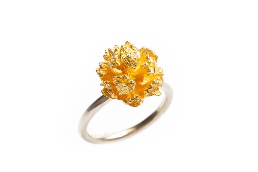 Imagem 0 de Anel Pinun Gold