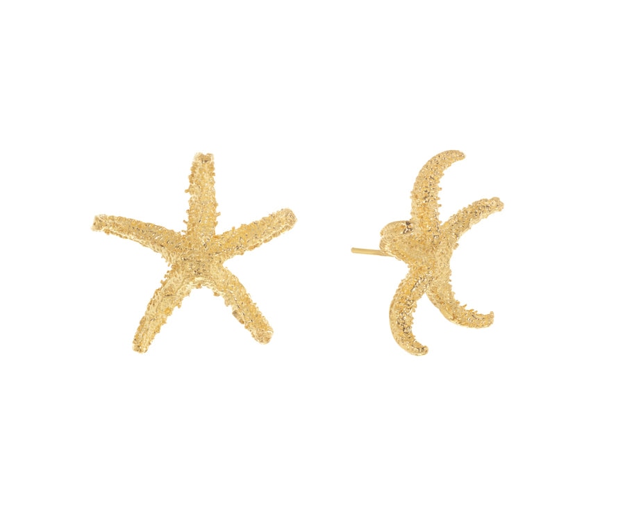 Brincos Stella Pusilli Gold Ouro-1