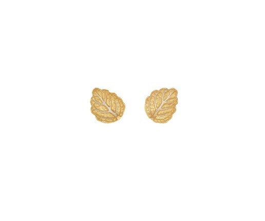 Imagem 0 de Brincos Follis XS Gold