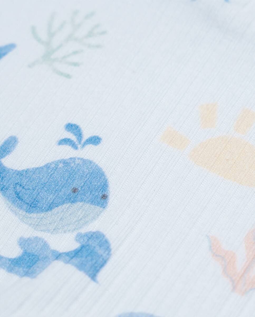 Babygrow em algodão canelado FS Baby Azul-claro-3