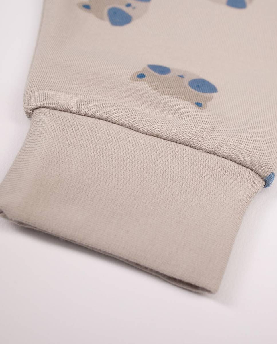 Conjunto de sweatshirt e calças em felpa cardada de algodão Taupe-6