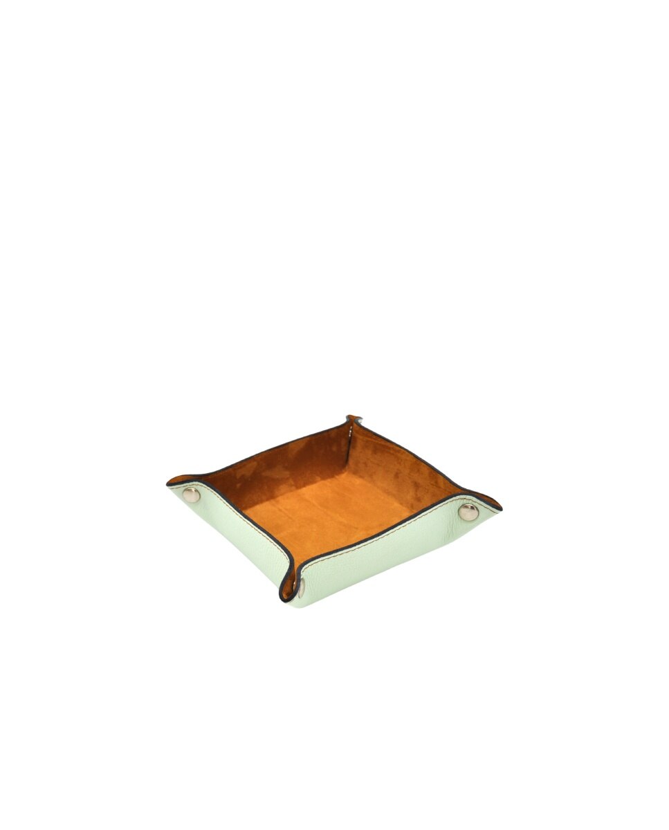 Imagem 0 de Despeja bolsos de pele em verde-menta