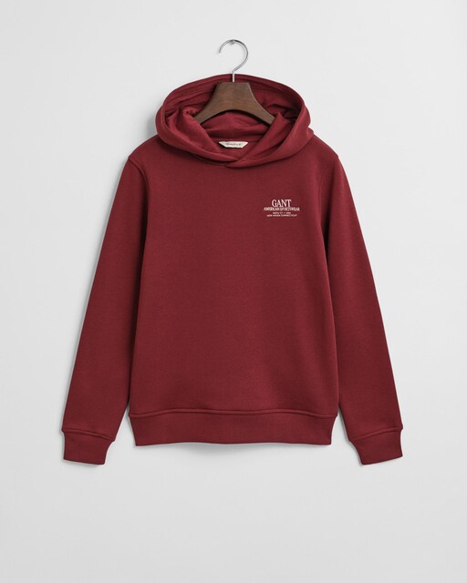 Imagem 0 de Sweatshirt com Capuz e Detalhe no Peito