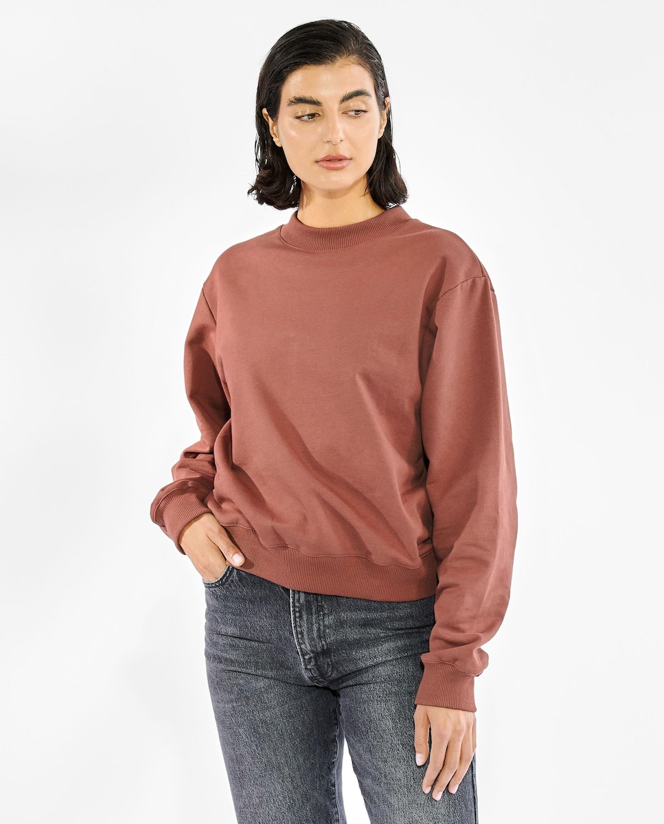 Sweatshirt sem Capuz com Estampado Liso Castanho-escuro-1