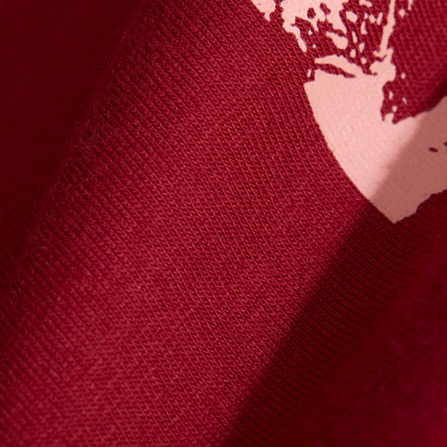 T-shirt de Montanha CORE PANORAMA Mammut Vermelho-5