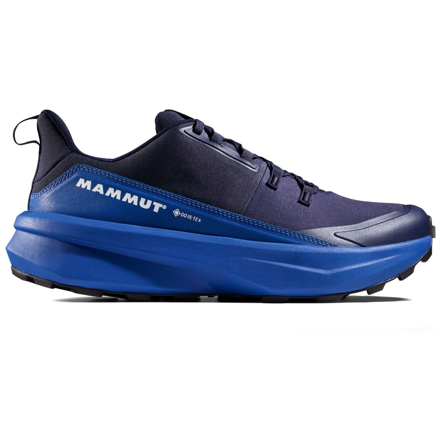 Imagem 0 de Sapatilhas de Montanha Aenergy Hike Gore-tex Mammut