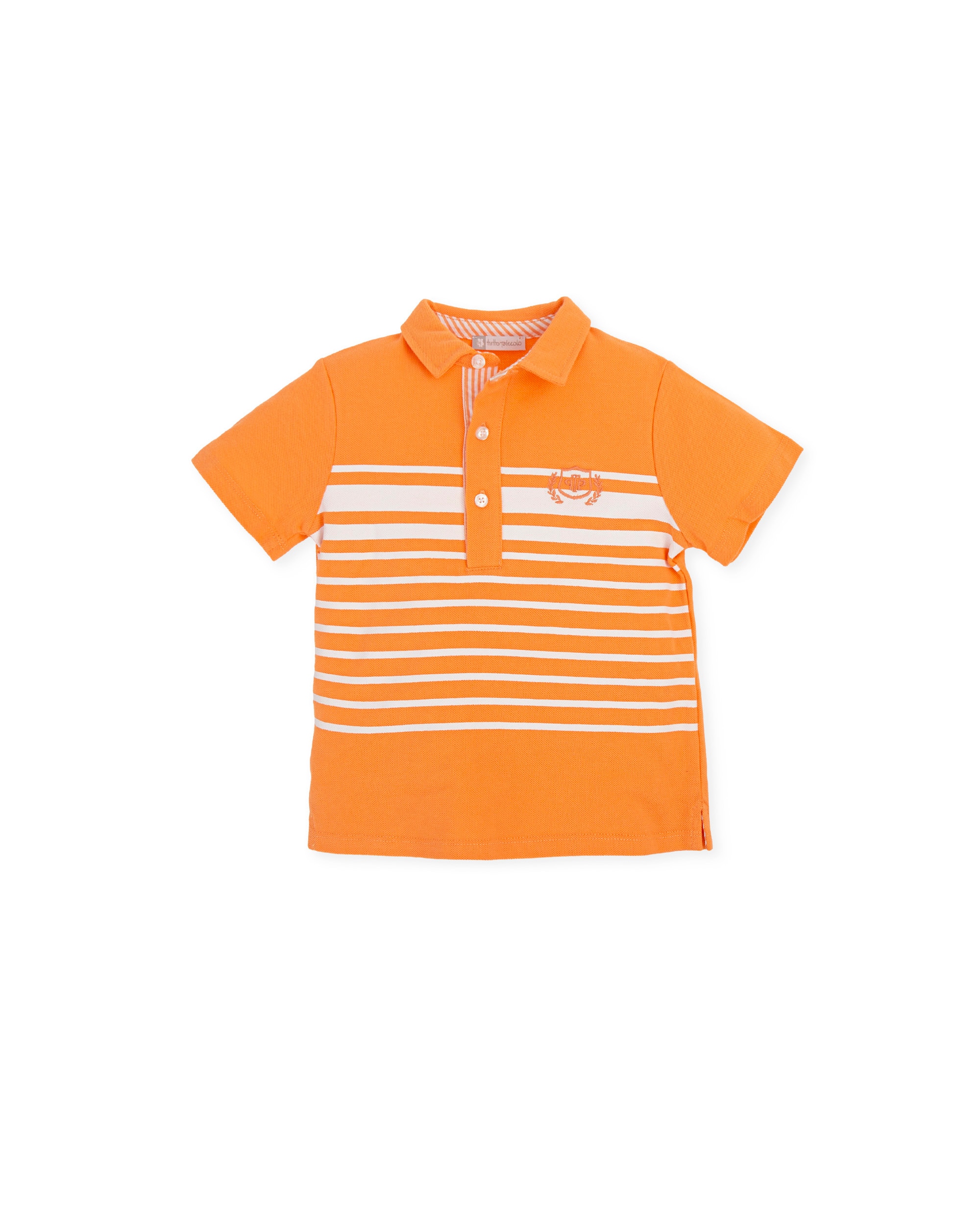 Imagem 0 de Polo de Manga Curta às Riscas