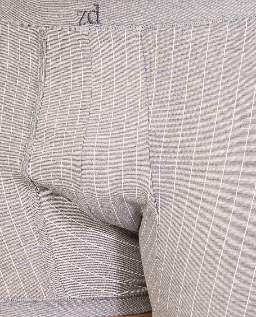 Boxers de homem ZD Cinzento-3