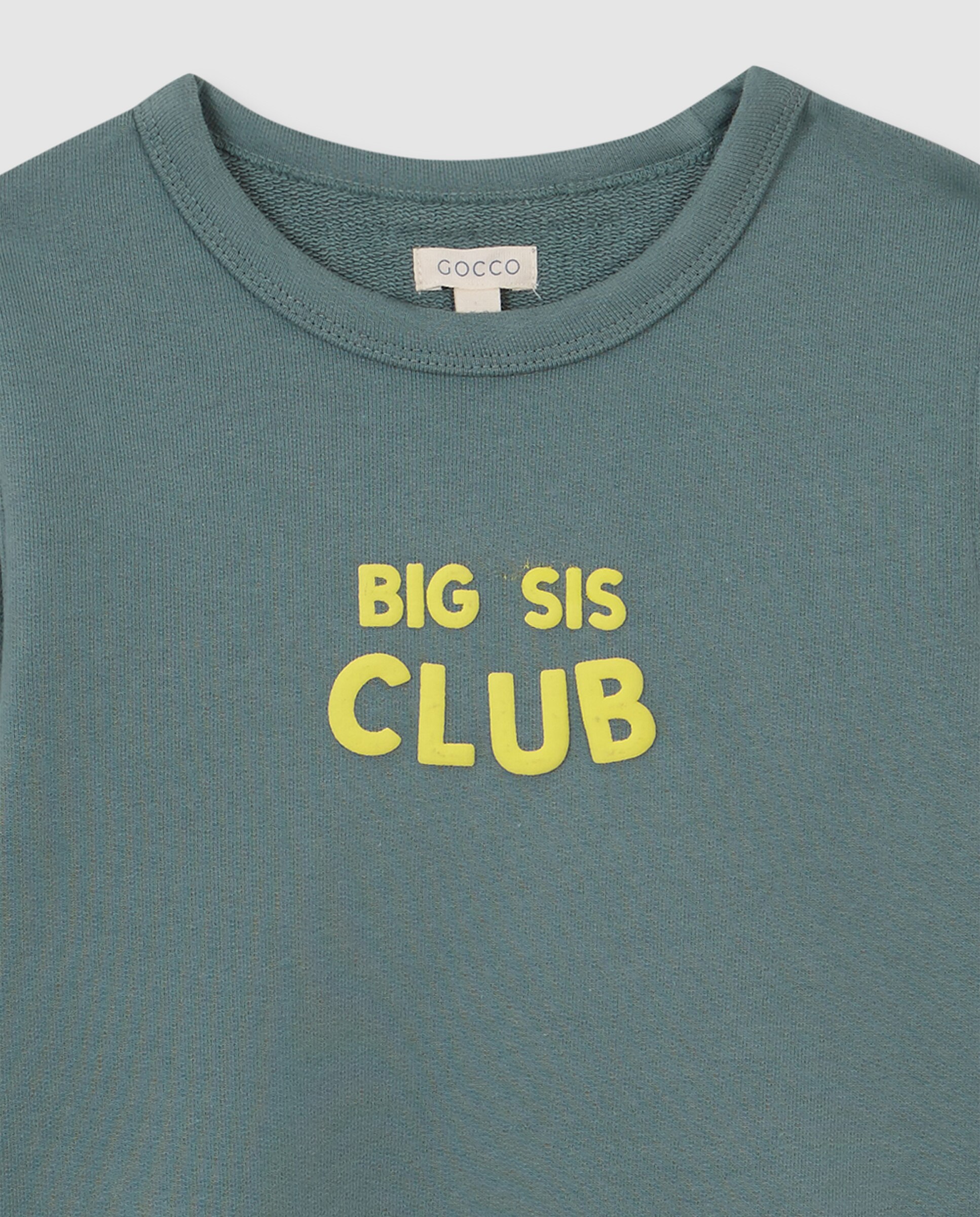 Sweatshirt Sister Infantil Gocco Verde-3