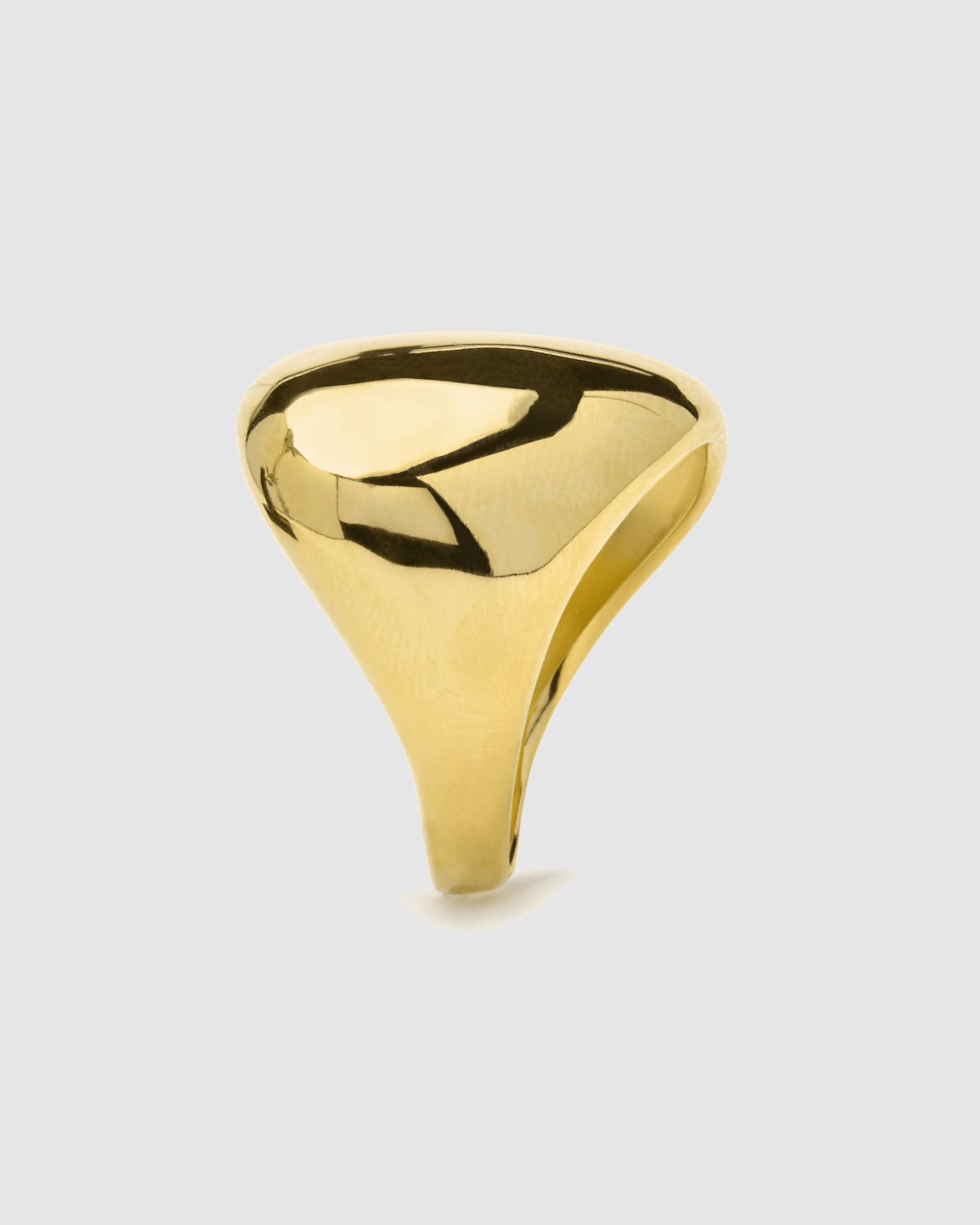 Anel Ajustável Momentos para Brilhar de Prata de Lei 925 com Acabamento em Ouro de 18 Quilates Ouro-3