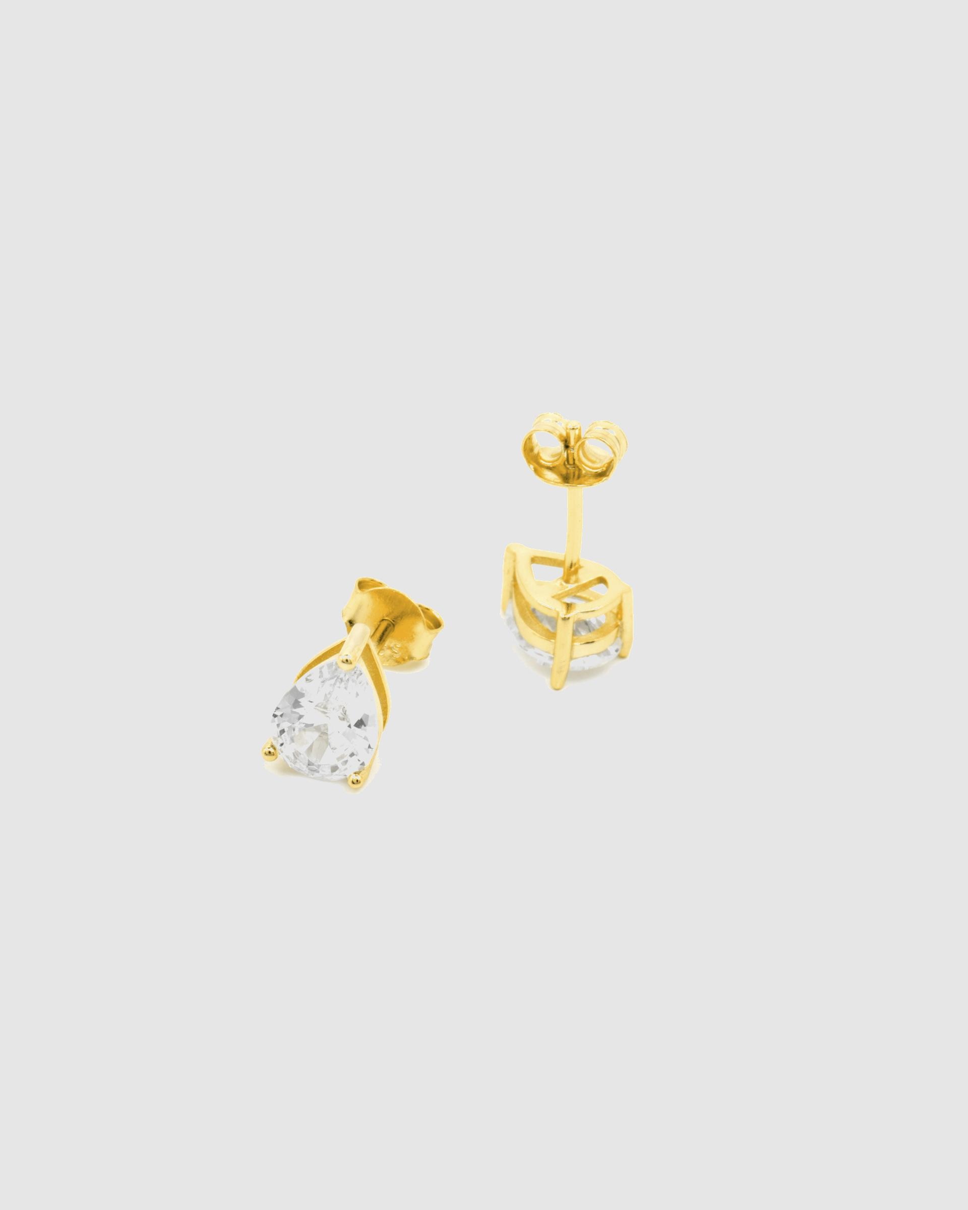 Brincos Momentos para Brilhar de Prata de Lei 925 com Acabamentos em Ouro de 18 Quilates e Zirconita Brilhante Prata-5