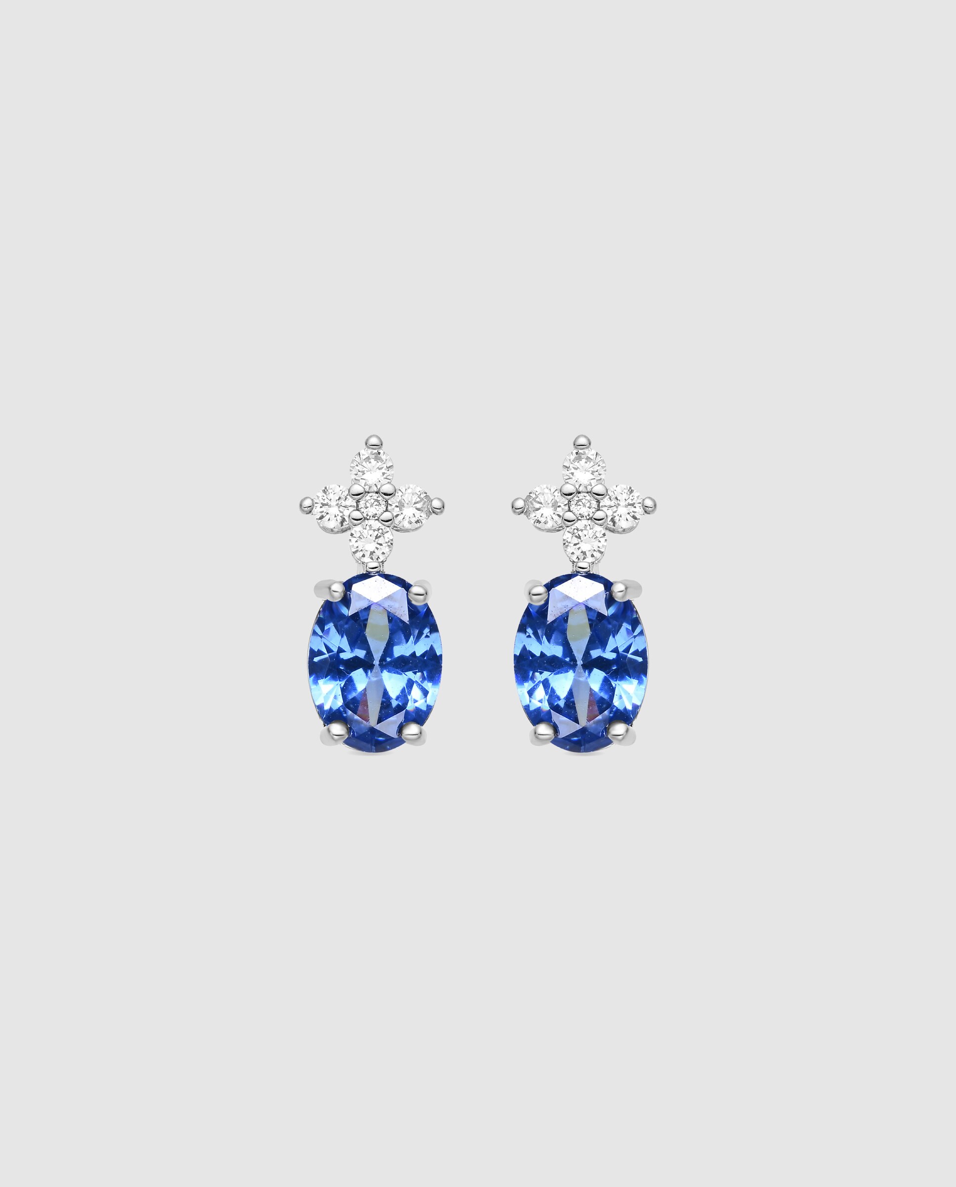Brincos África com Acabamentos em Ródio e Zirconita Tanzanite Prata brilhante / Transparente-1