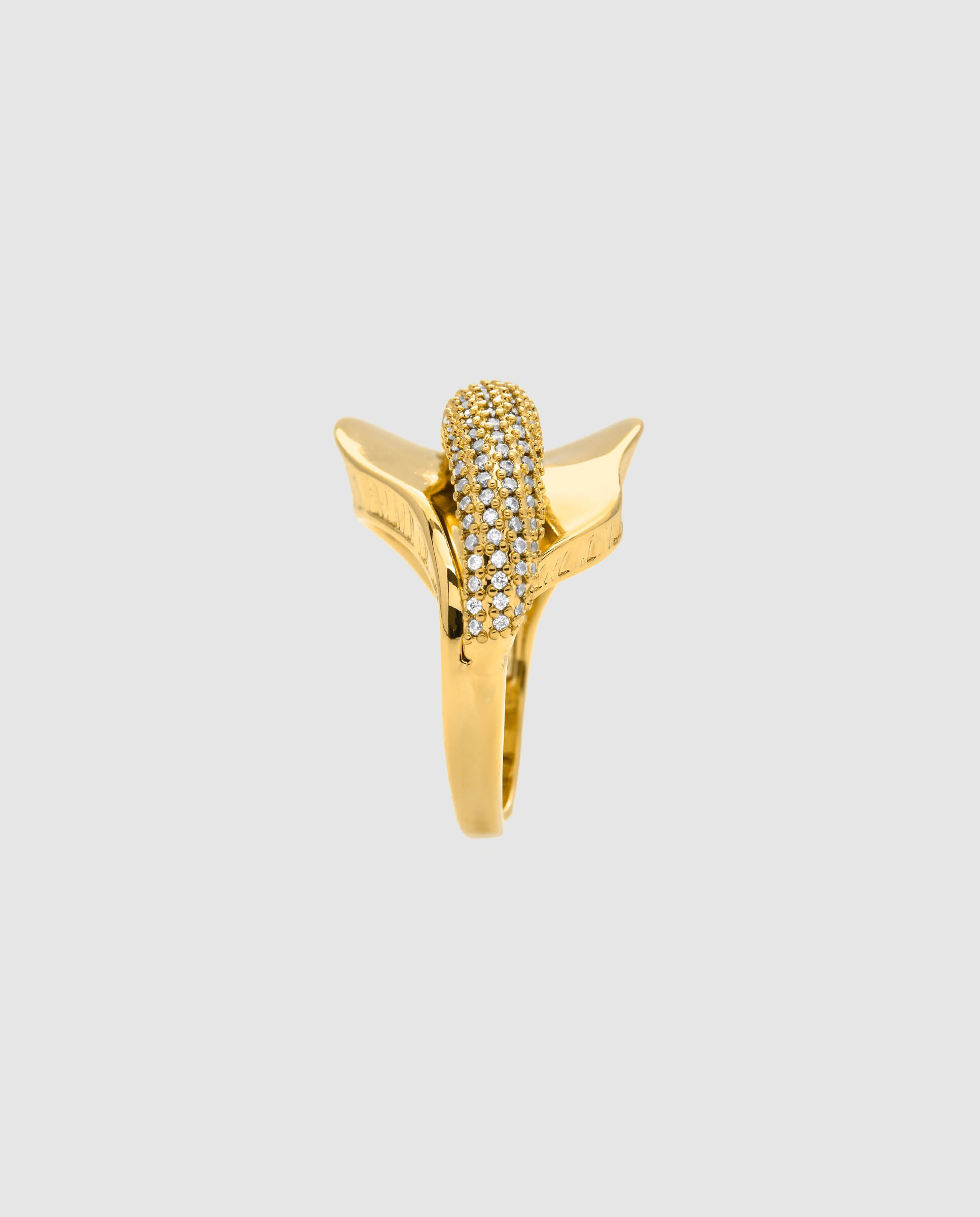 Anel África Acabado em Ouro Amarelo de 18 Quilates com Zirconita Brilhante Dourado-2