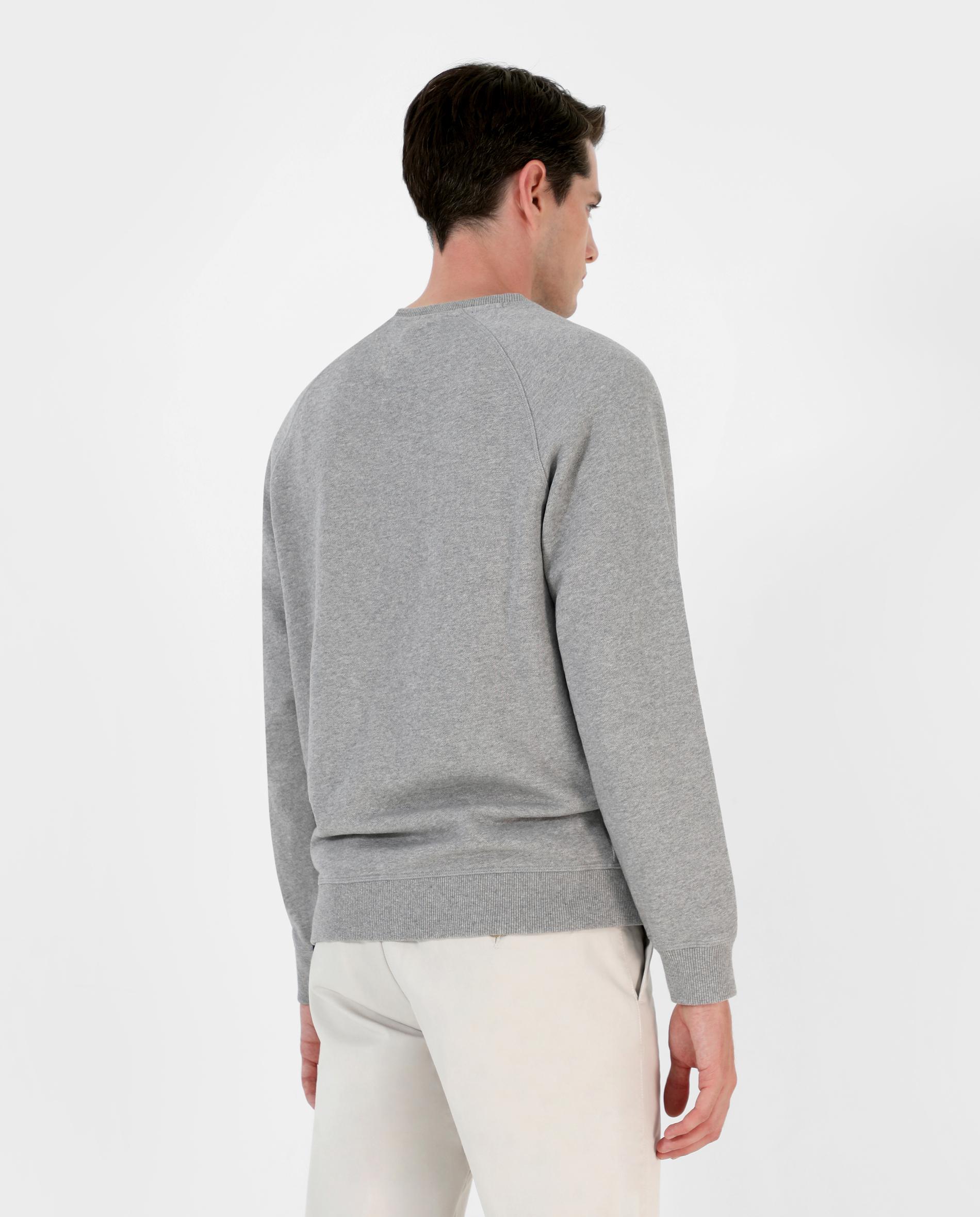 Sweatshirt de Algodão com Caveira Bordada Cinzento-2